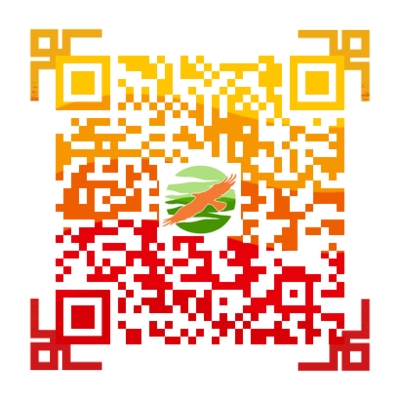 人才招聘信息平台公众号.png